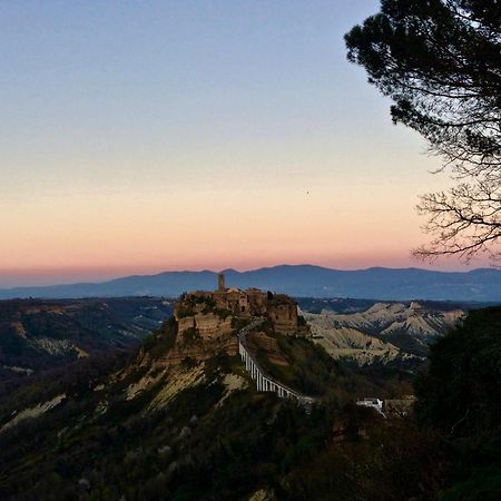 Podere Porcino Civitella dʼAgliano Exterior foto