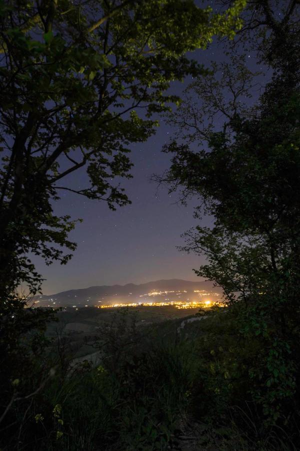 Podere Porcino Civitella dʼAgliano Exterior foto