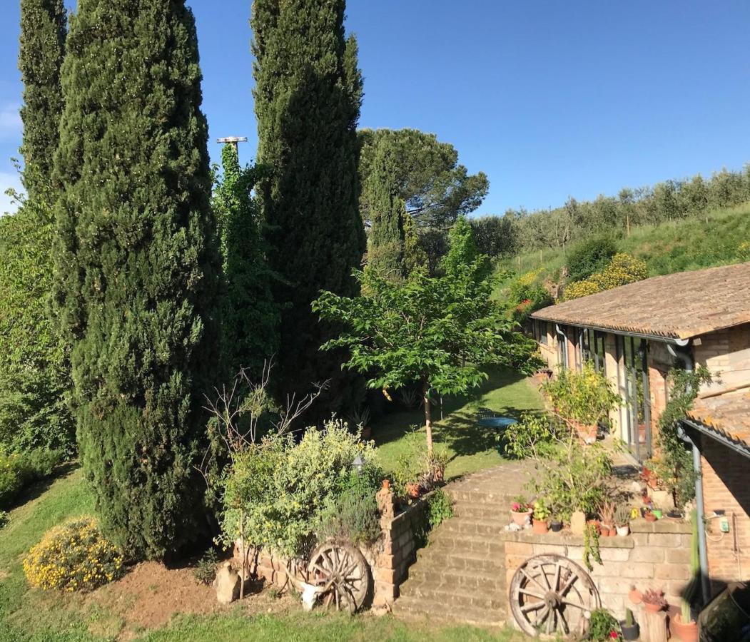 Podere Porcino Civitella dʼAgliano Exterior foto
