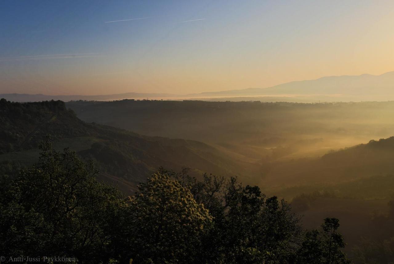 Podere Porcino Civitella dʼAgliano Exterior foto