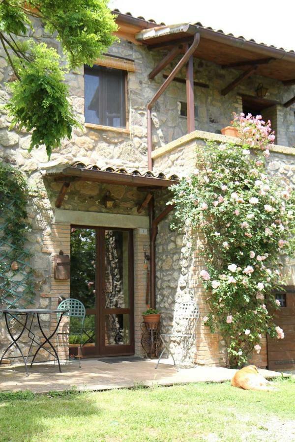 Podere Porcino Civitella dʼAgliano Exterior foto