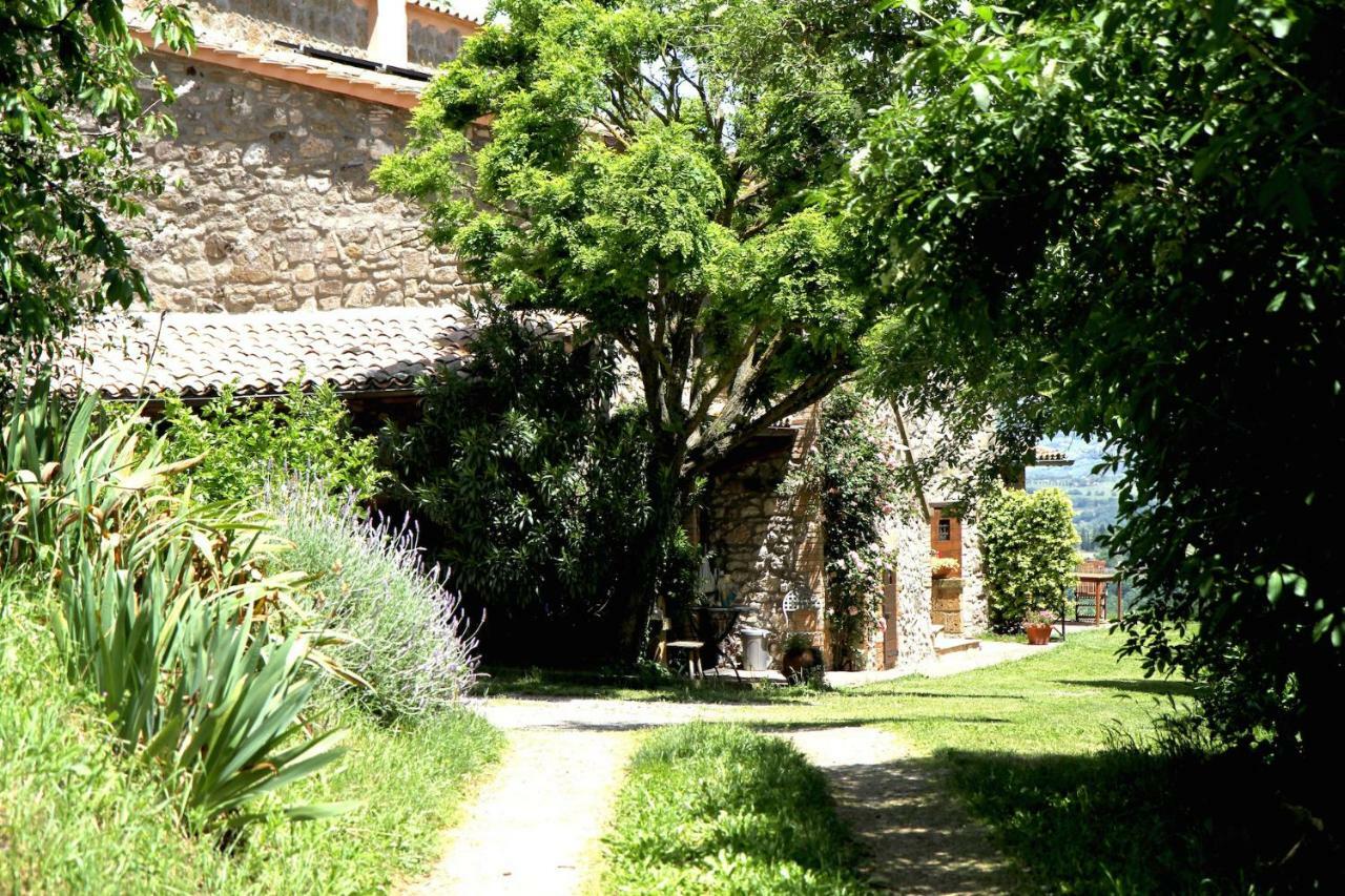Podere Porcino Civitella dʼAgliano Exterior foto