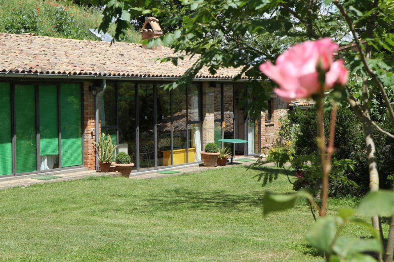 Podere Porcino Civitella dʼAgliano Exterior foto