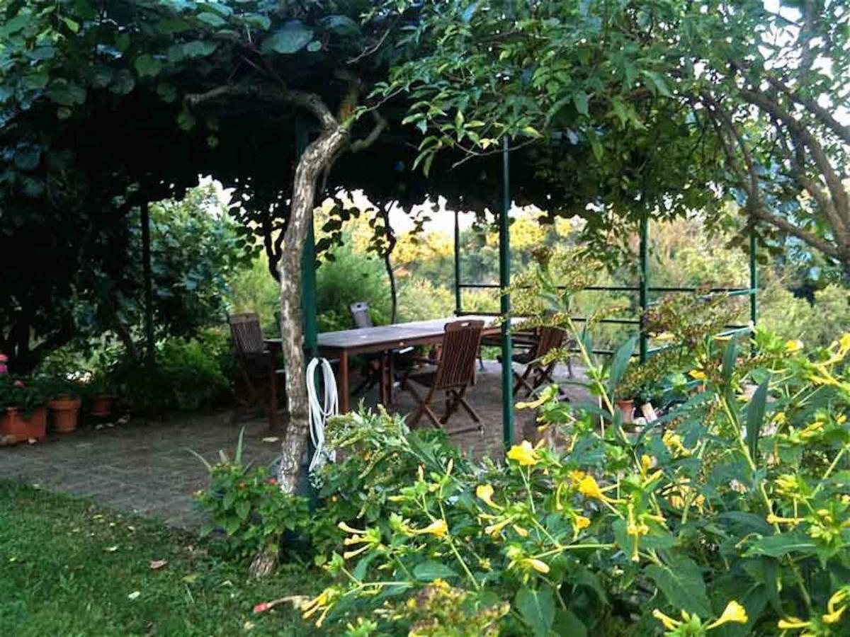 Podere Porcino Civitella dʼAgliano Exterior foto